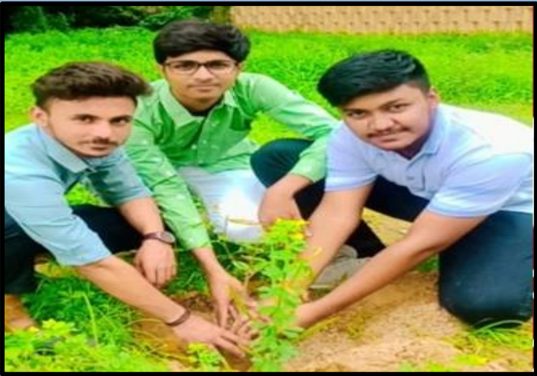 Tree Plantation Drive